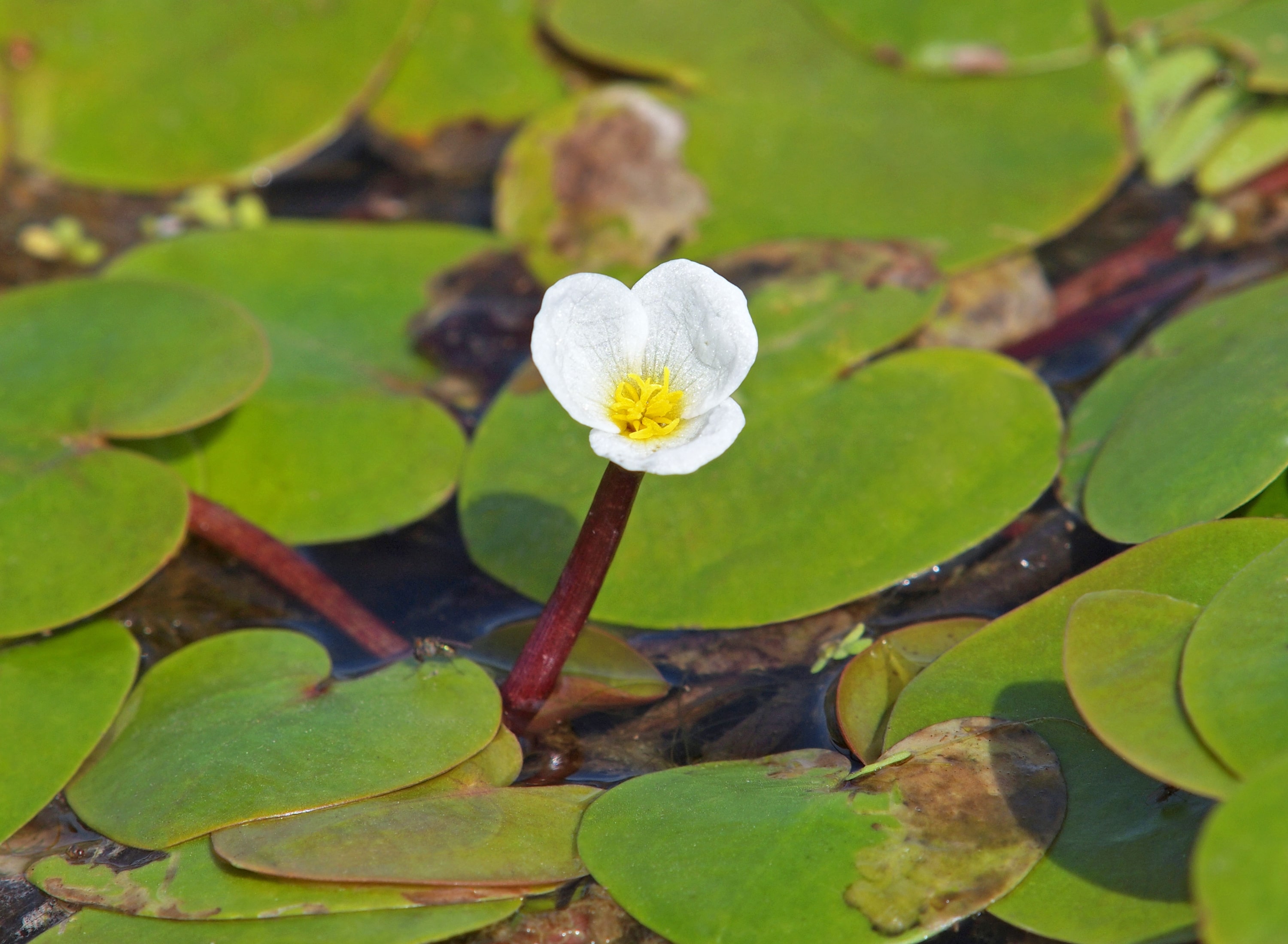 AdobeStock_387354689-min.jpeg