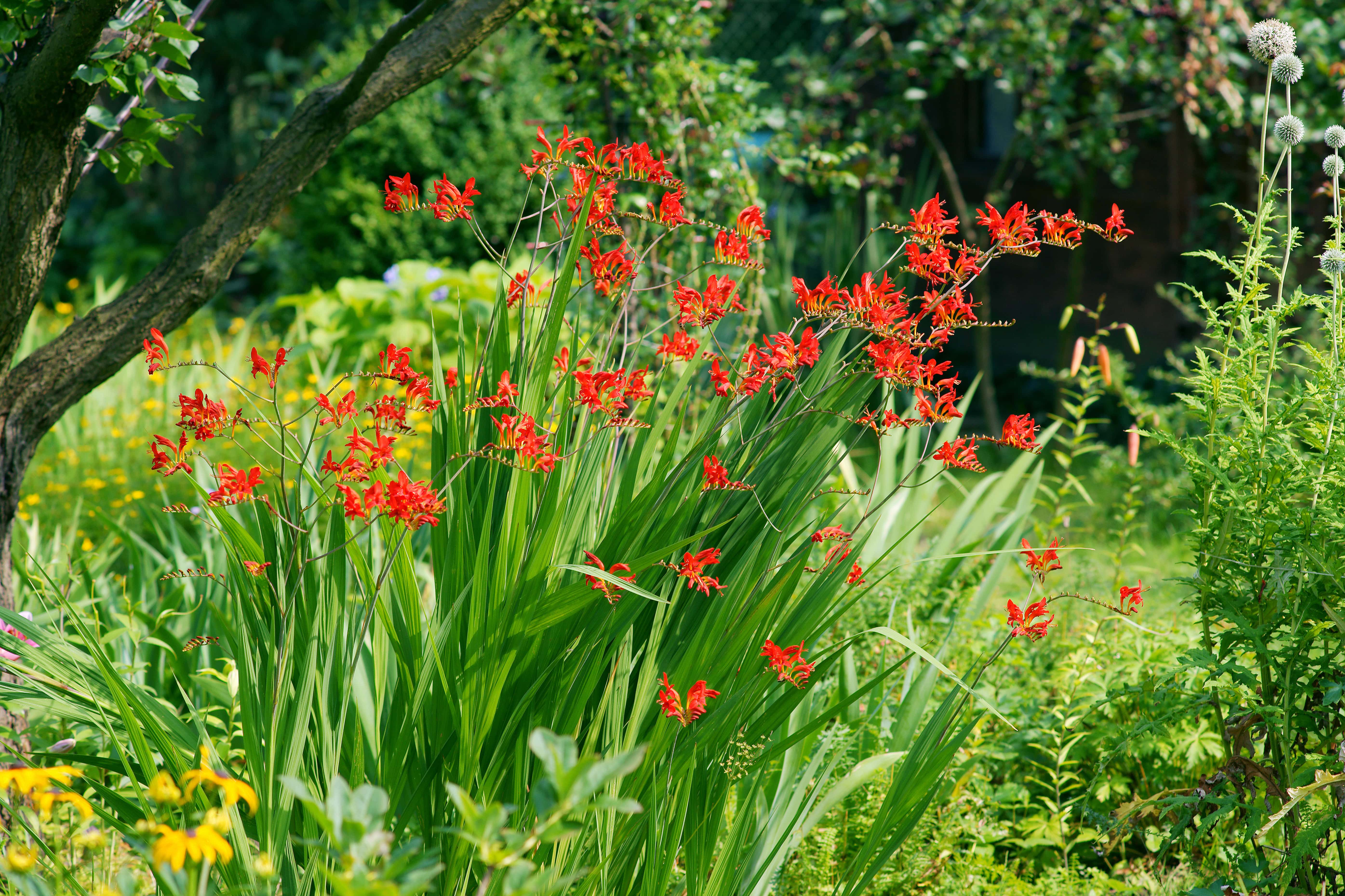 AdobeStock_158482799-min.jpeg