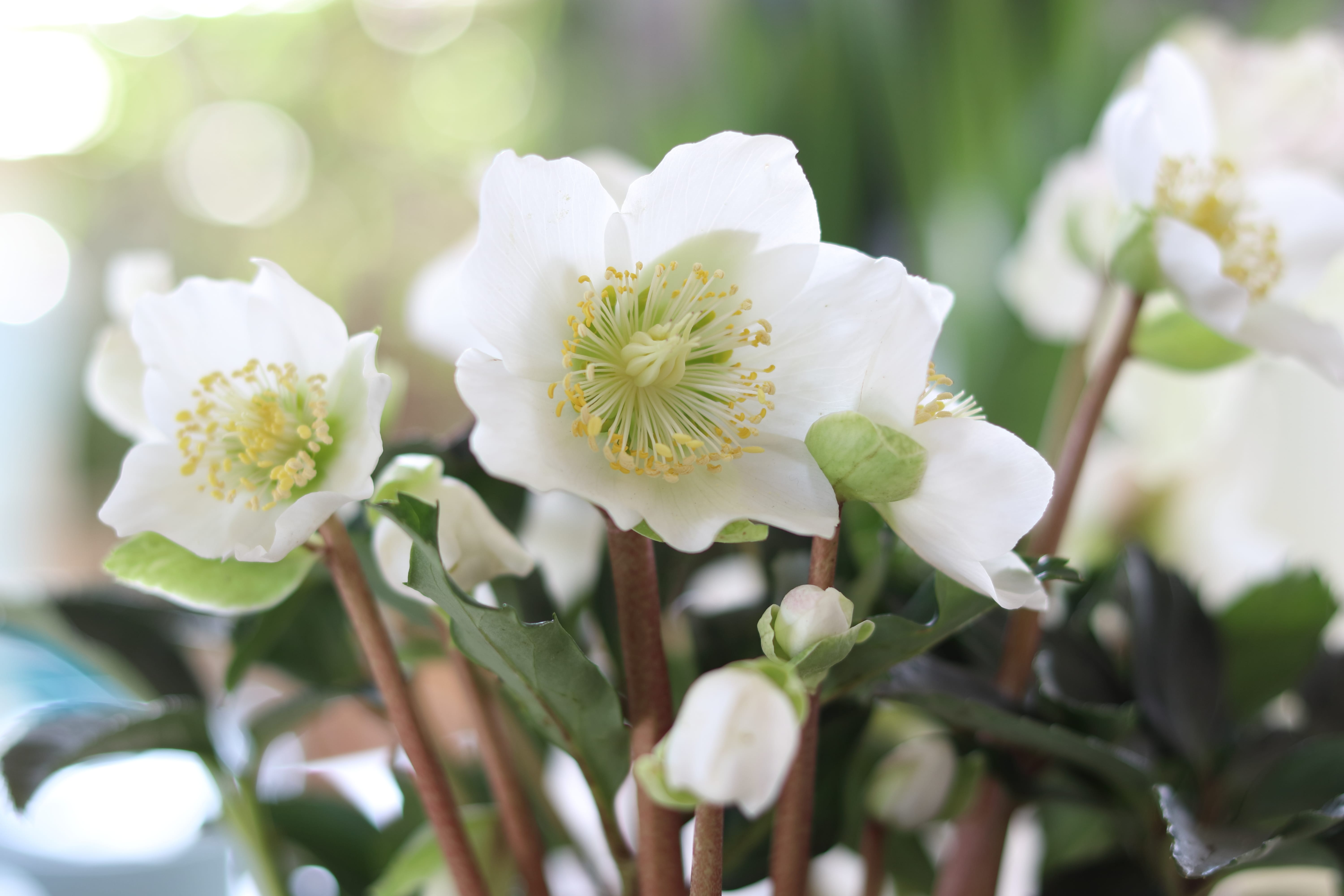 AdobeStock_196797249-min.jpeg