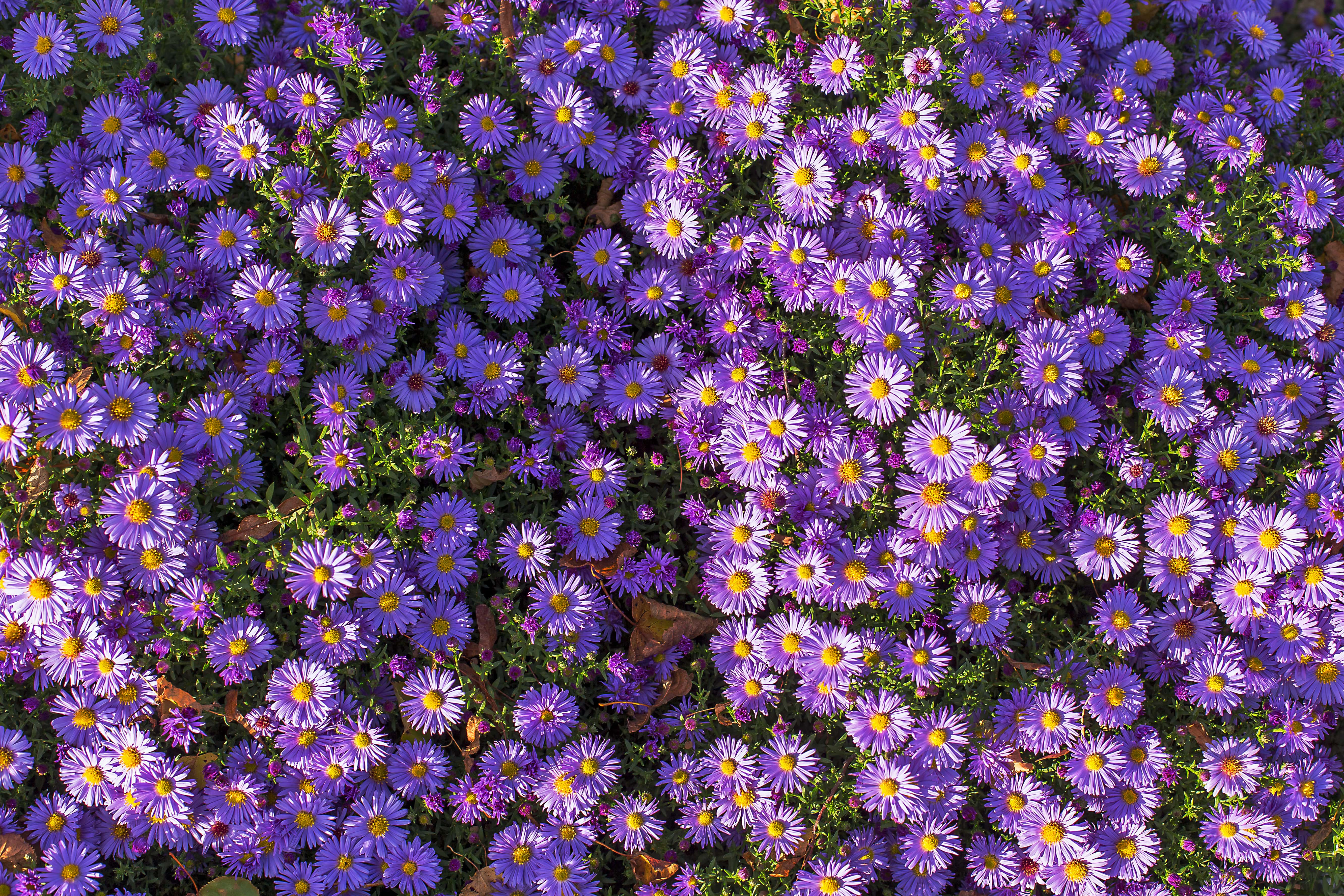 AdobeStock_308494085-min.jpeg