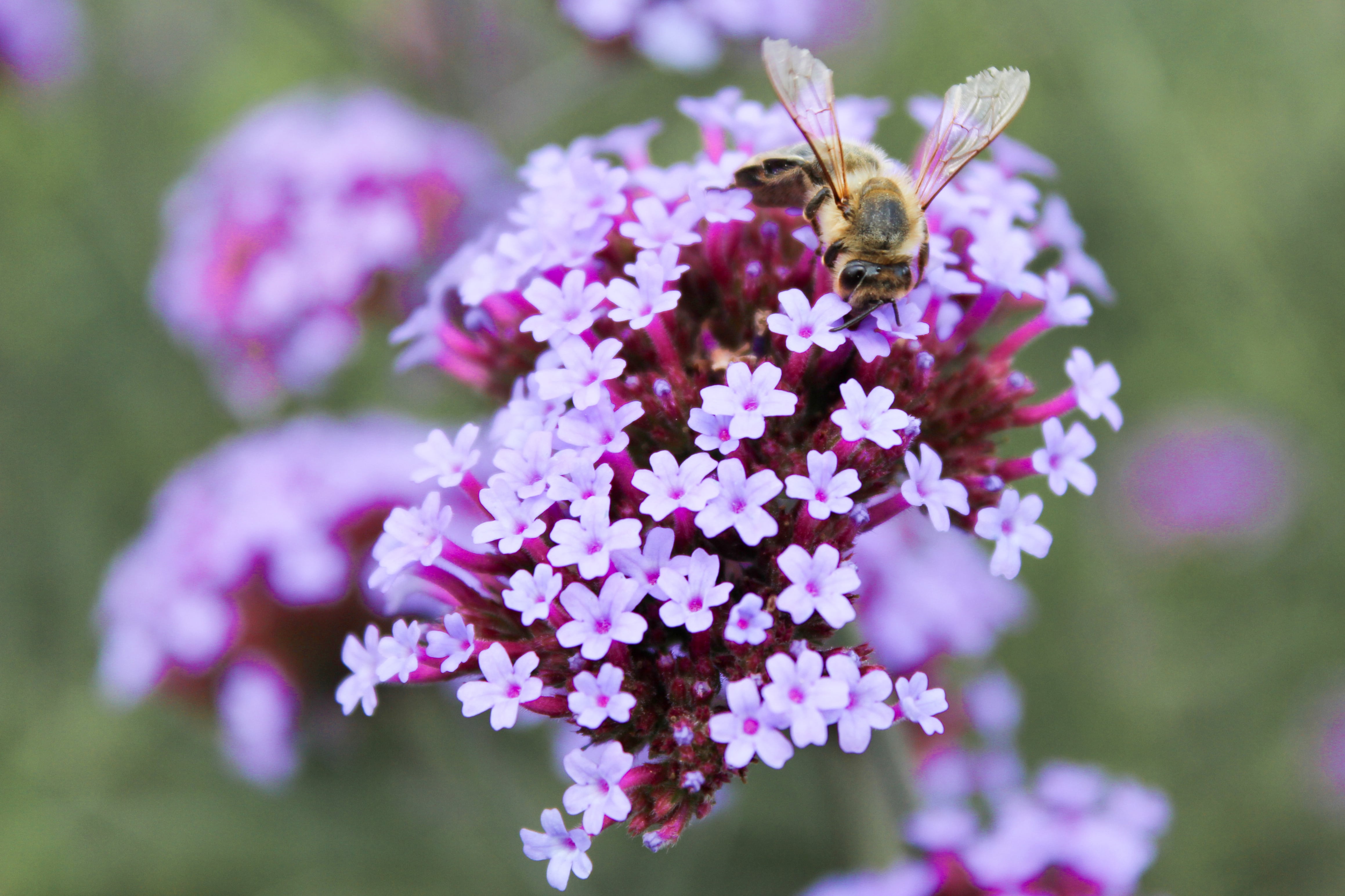 AdobeStock_337785224-min.jpeg