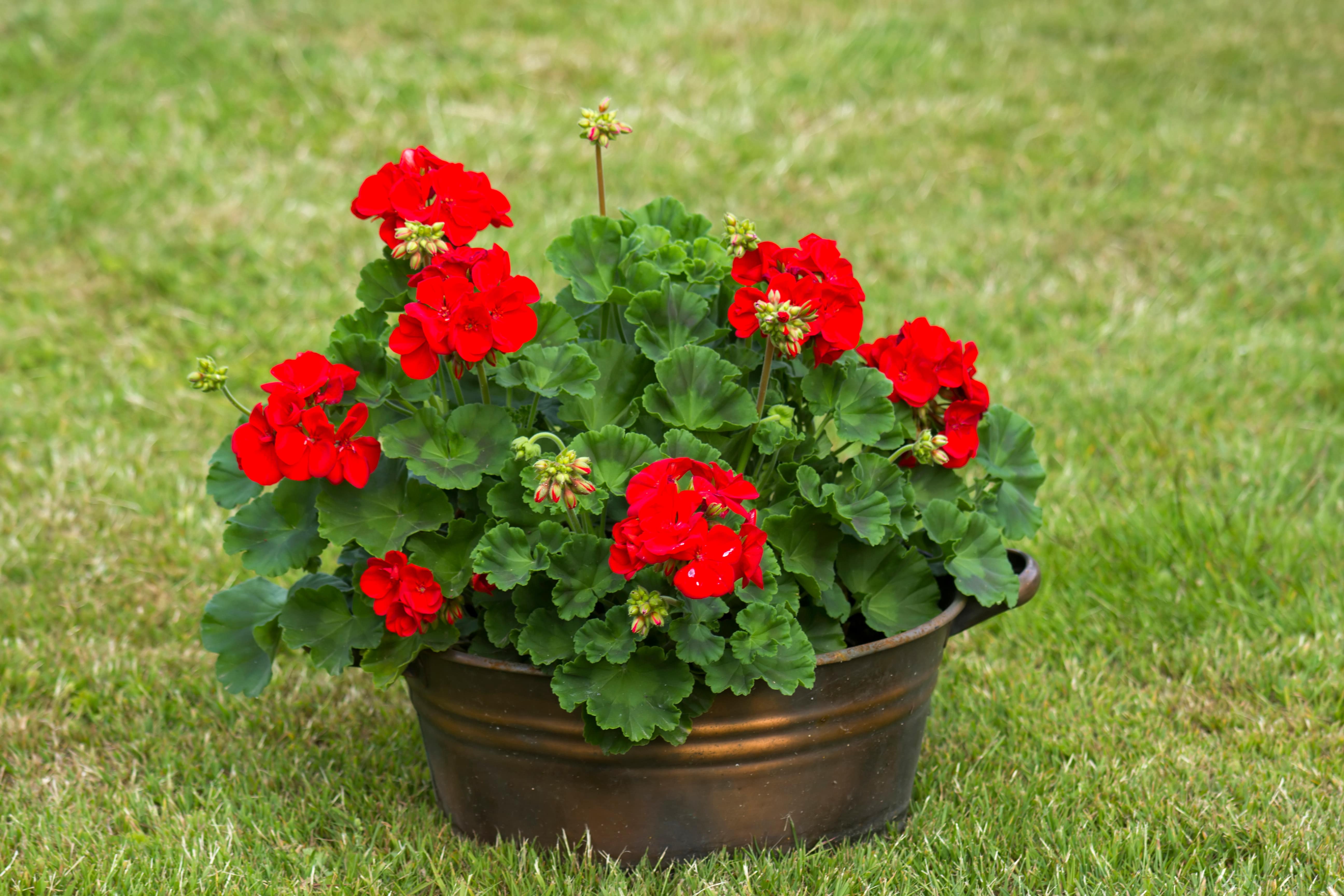 AdobeStock_431348410-min.jpeg