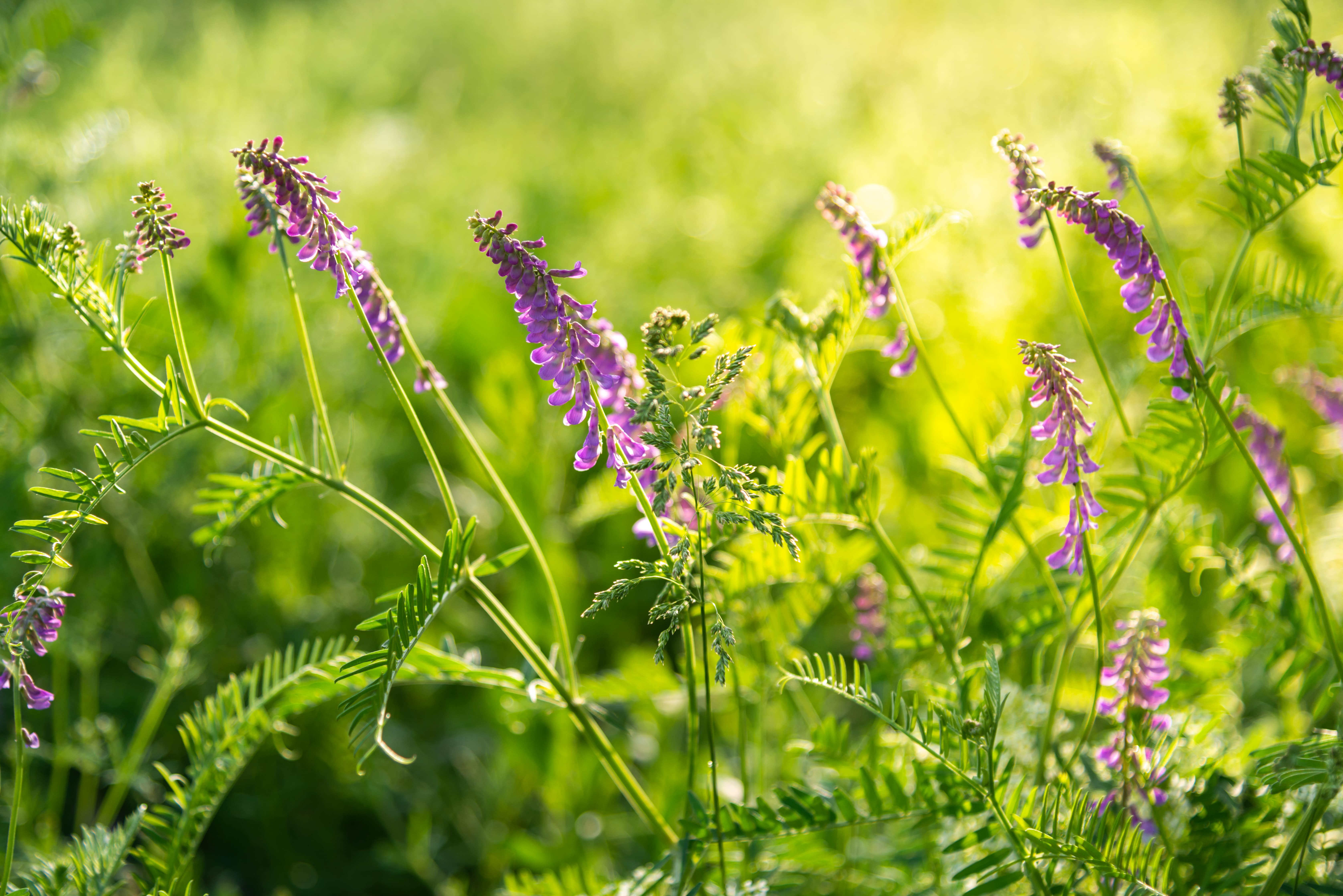 AdobeStock_408413463-min.jpeg