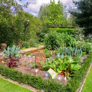 Ogród warzywny dla leniwych