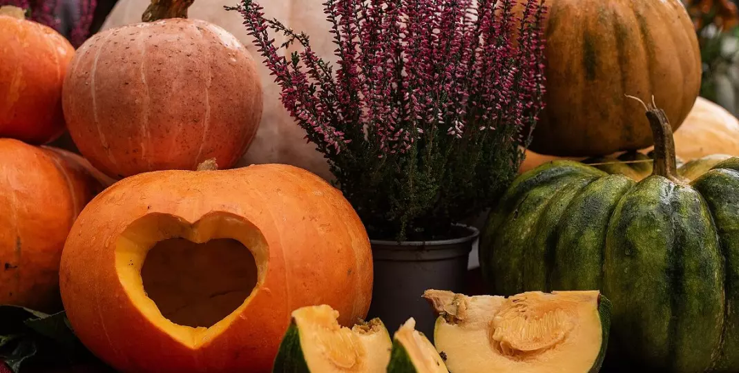 Jesienne dekoracje z dyni i wrzosów. Stwórz klimatyczny zakątek przed domem
