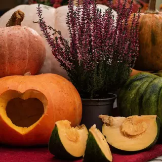 Jesienne dekoracje z dyni i wrzosów. Stwórz klimatyczny zakątek przed domem