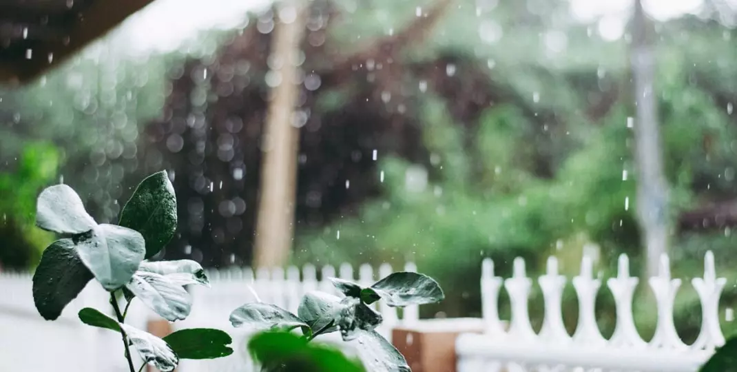 Mała retencja w ogrodzie. Na czym dokładnie polega?