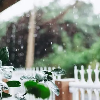 Mała retencja w ogrodzie. Na czym dokładnie polega?